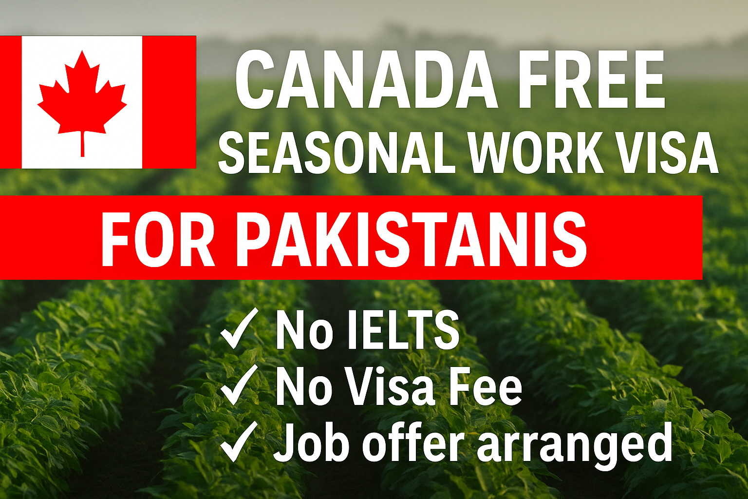 Canada free work visa for Pakistanis 2025